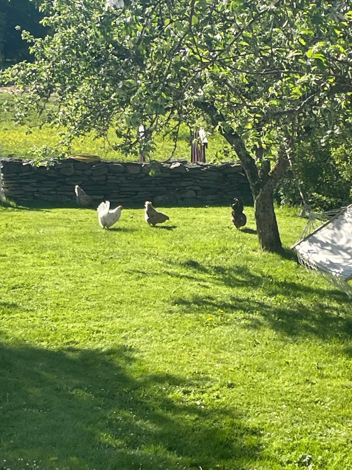 Jonstorps Brygghus Villa Falköping Dış mekan fotoğraf